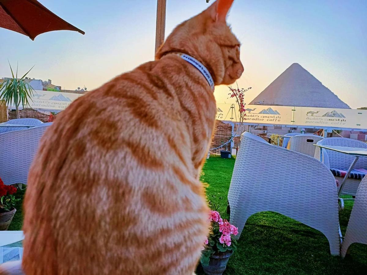Carpet Alaadein Pyramids View Hotel Kafret el-Gabal Kültér fotó